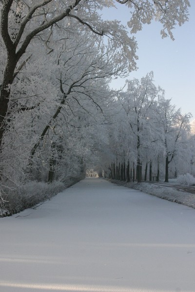 n_Linschoten. 22.jpg